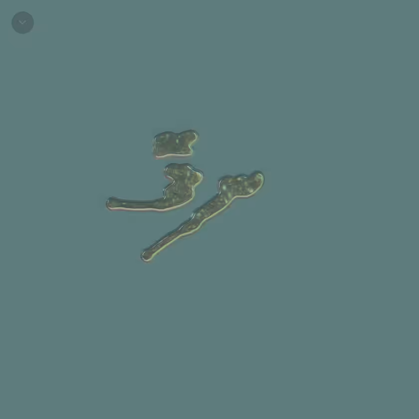 Muraka #2