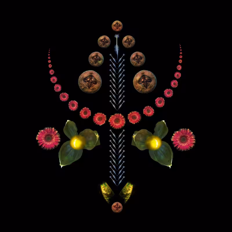 CAPRICORN -the star-