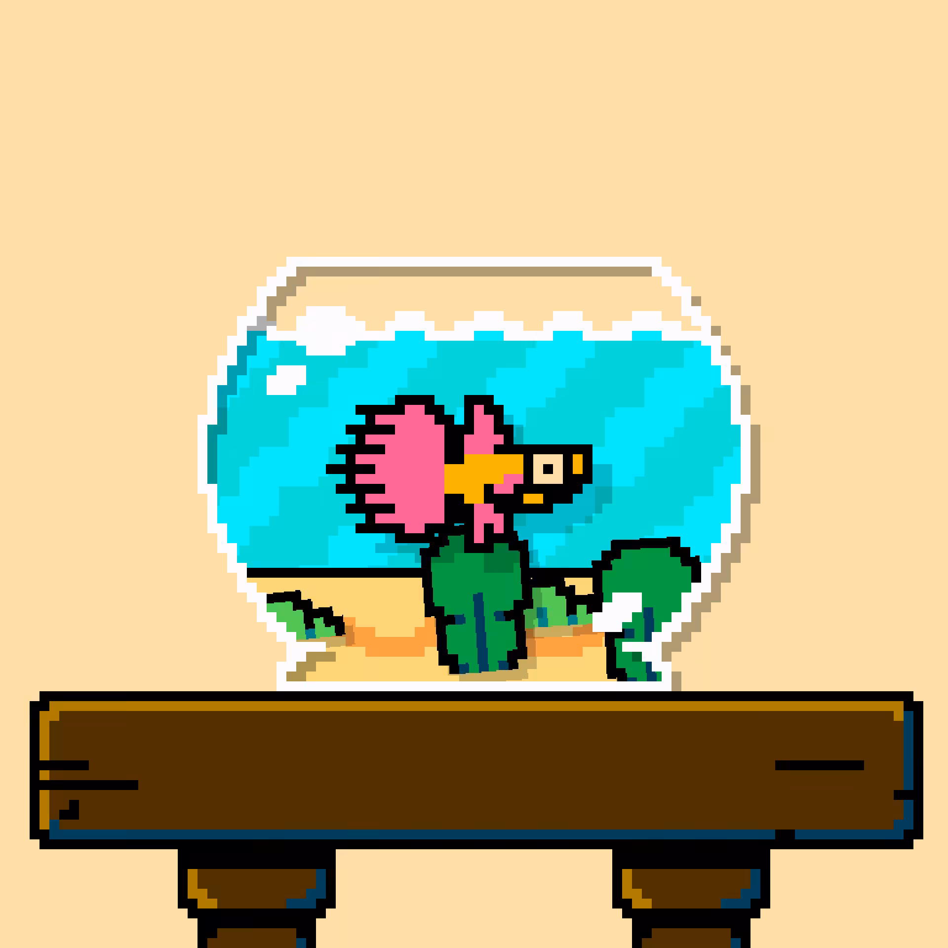 betta fish #411