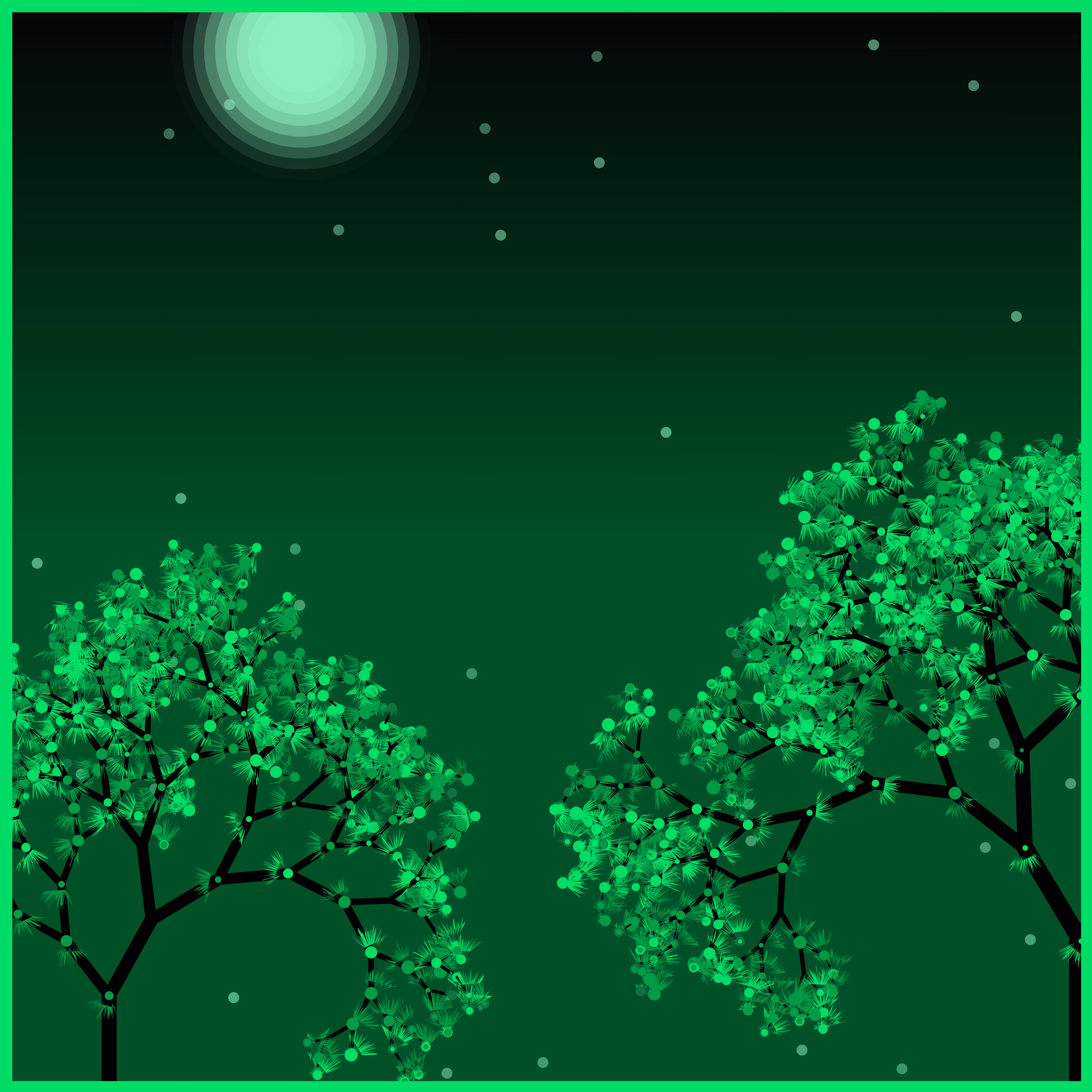 Forest #2