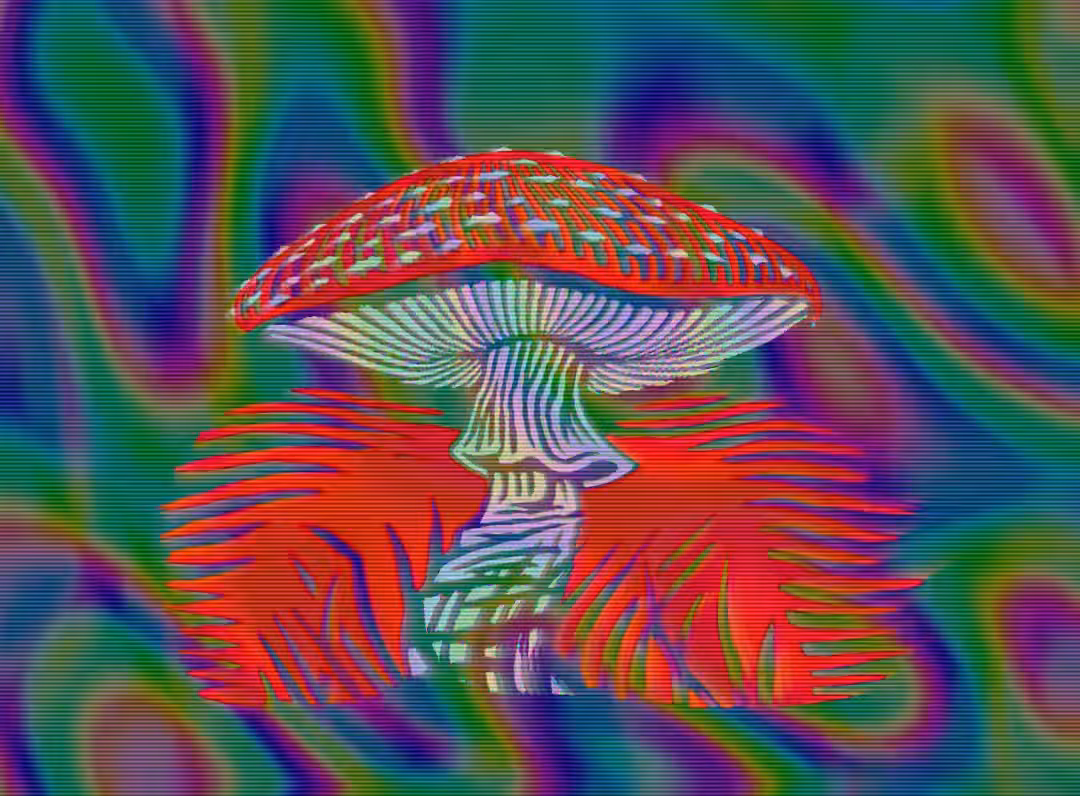 Psychedelic Shroom