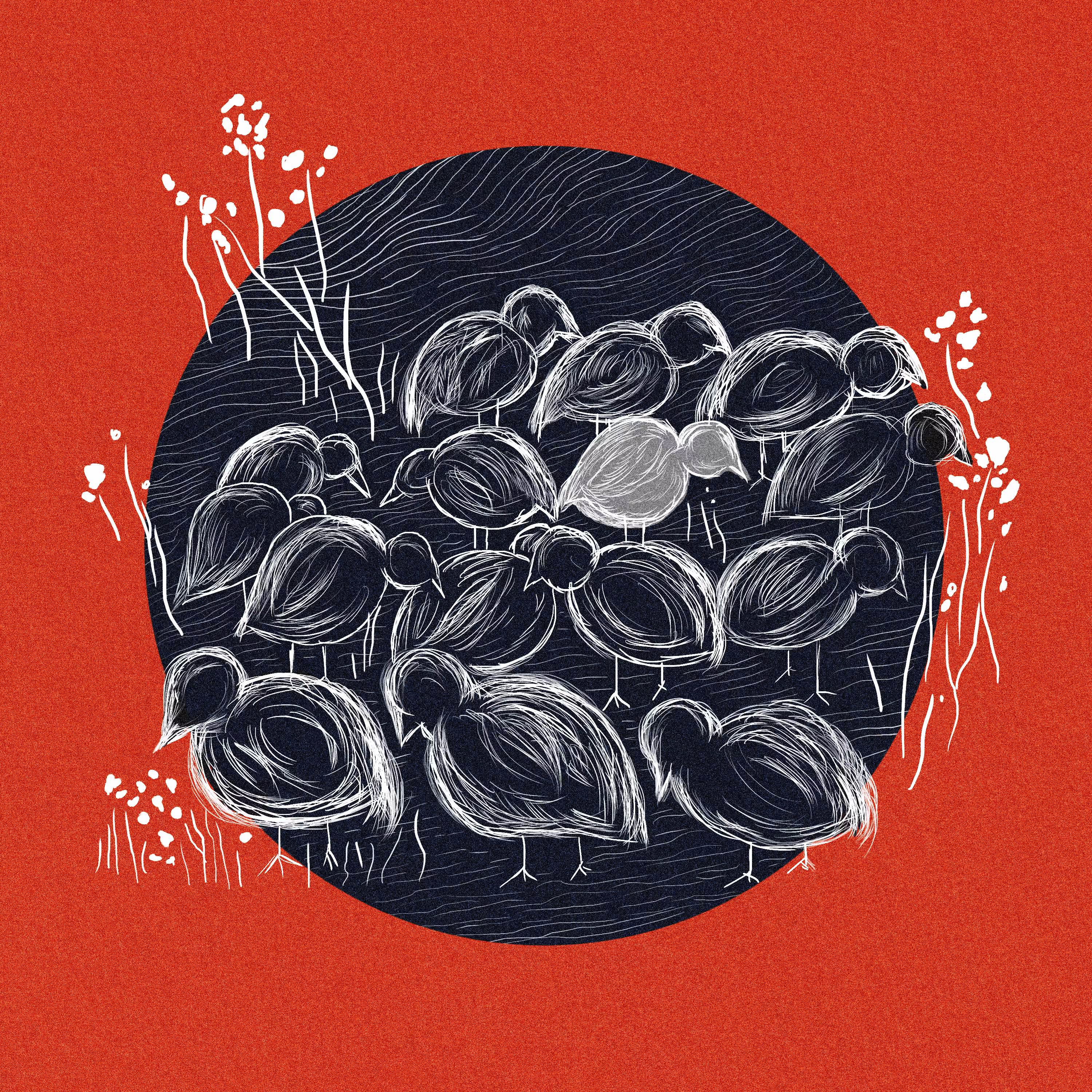 Chicks circle