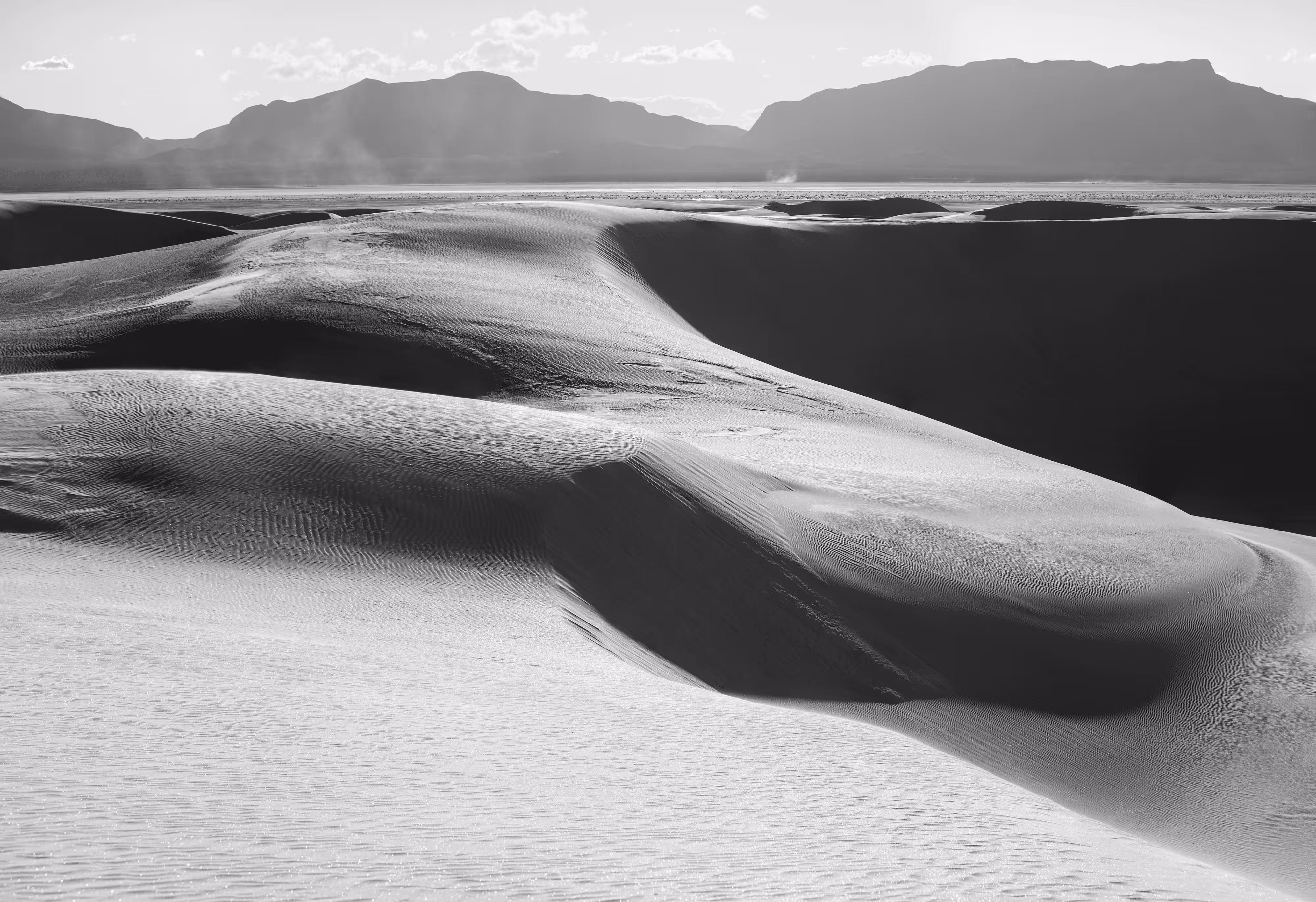 Shaded Waves