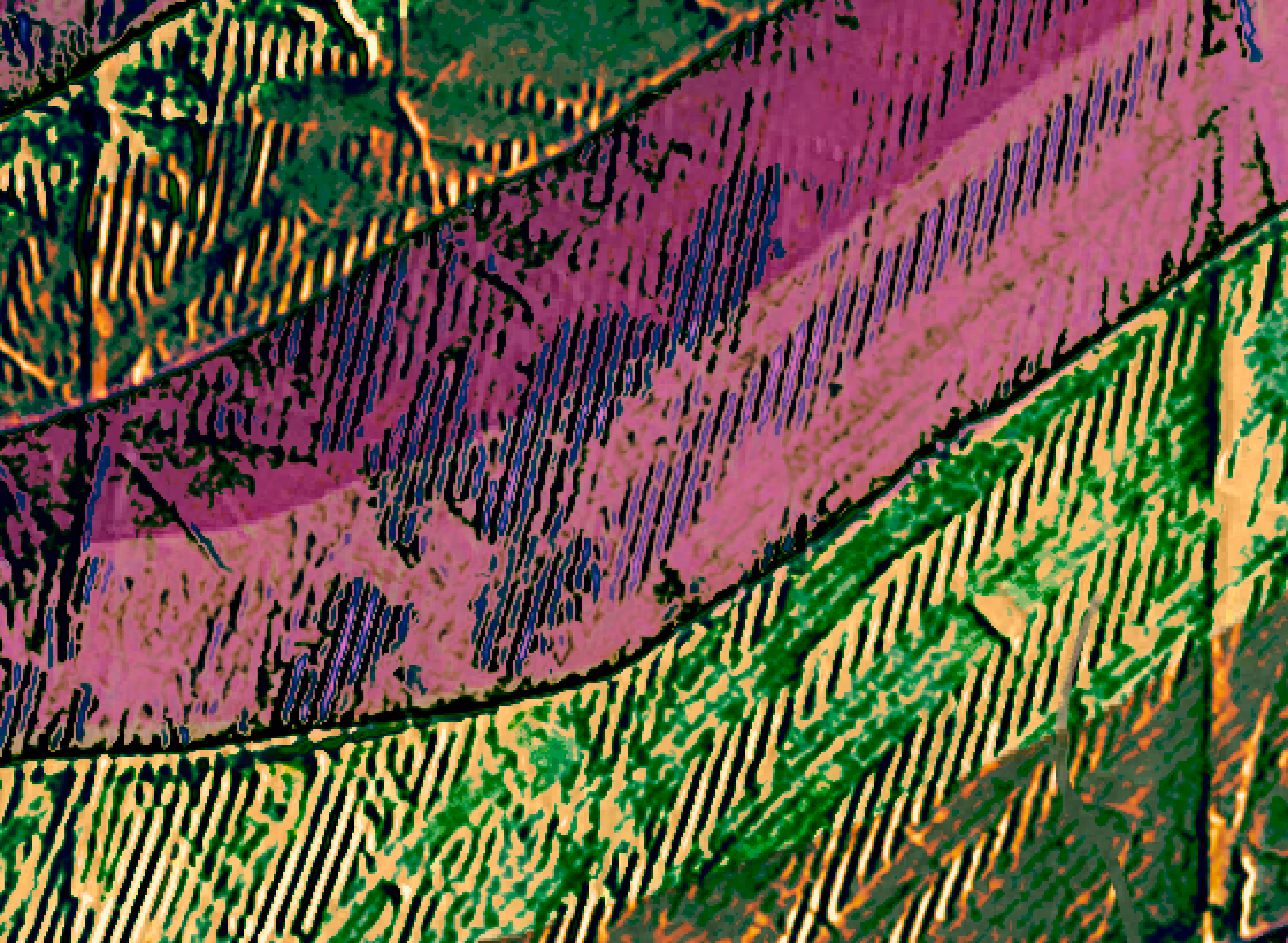 whirled territory #13