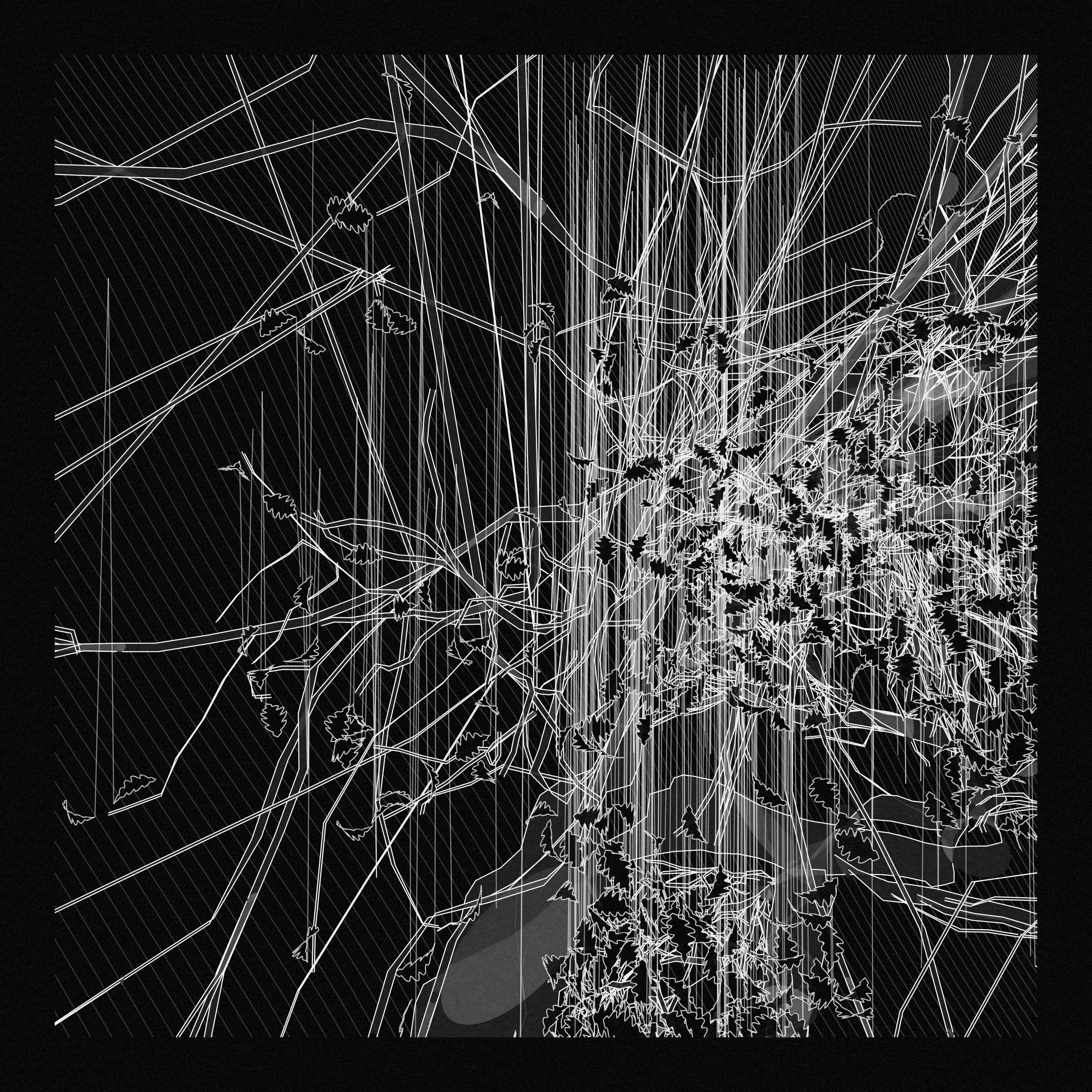 A Bugged Forest #317