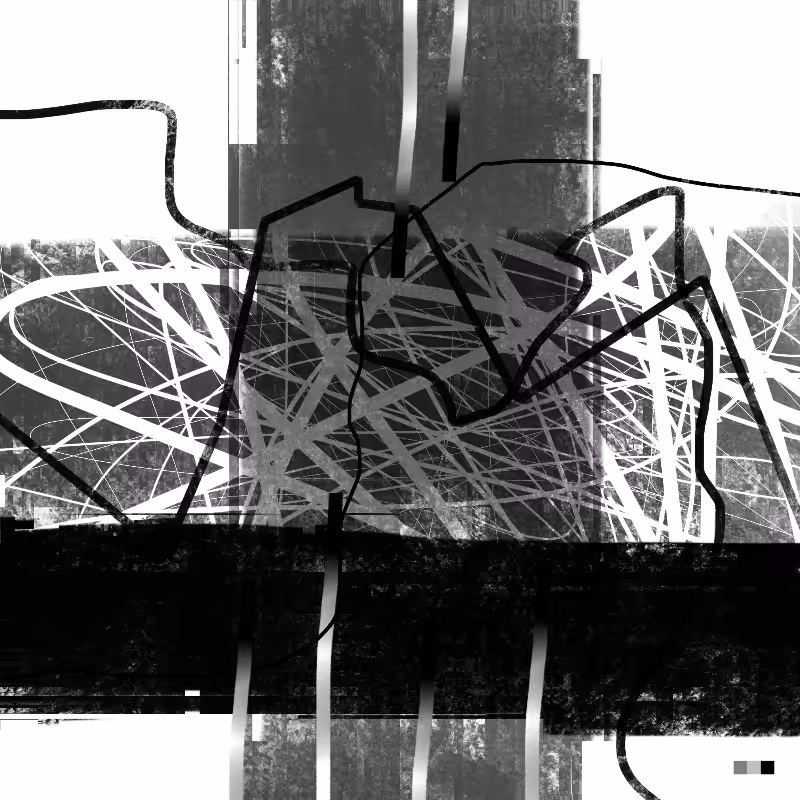 My Way (Black & White Special Edition) #1