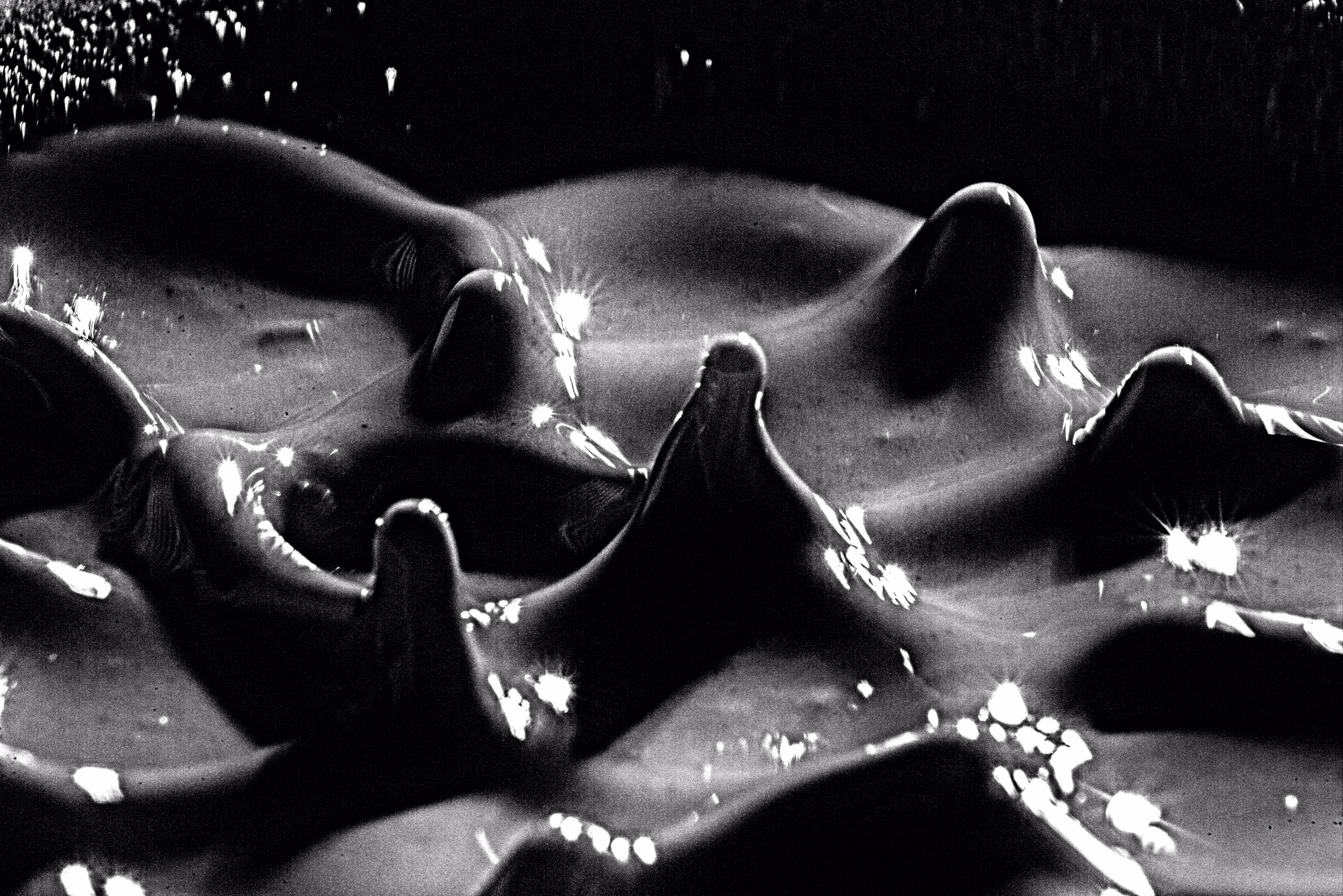 Silver Mud