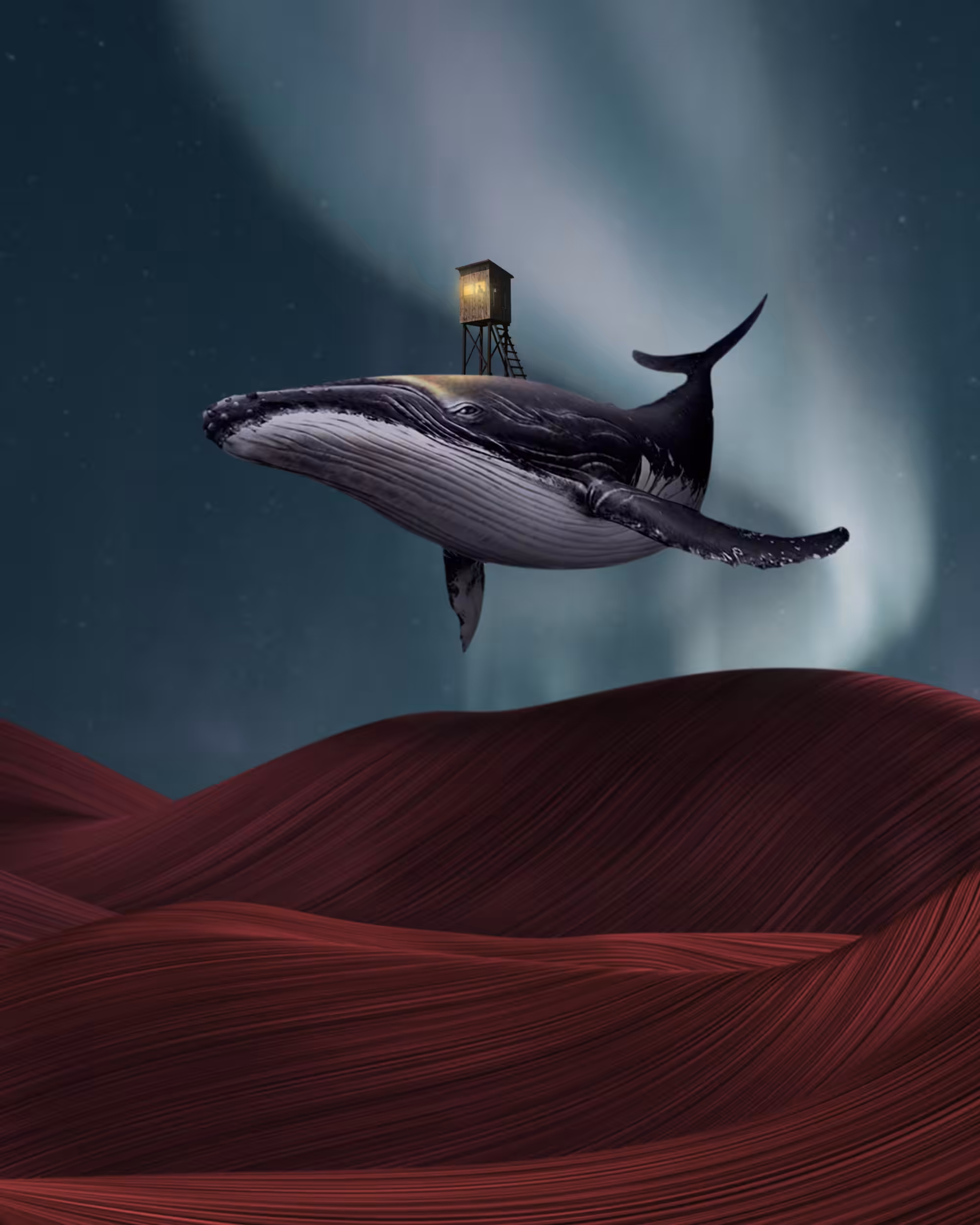The Exploration