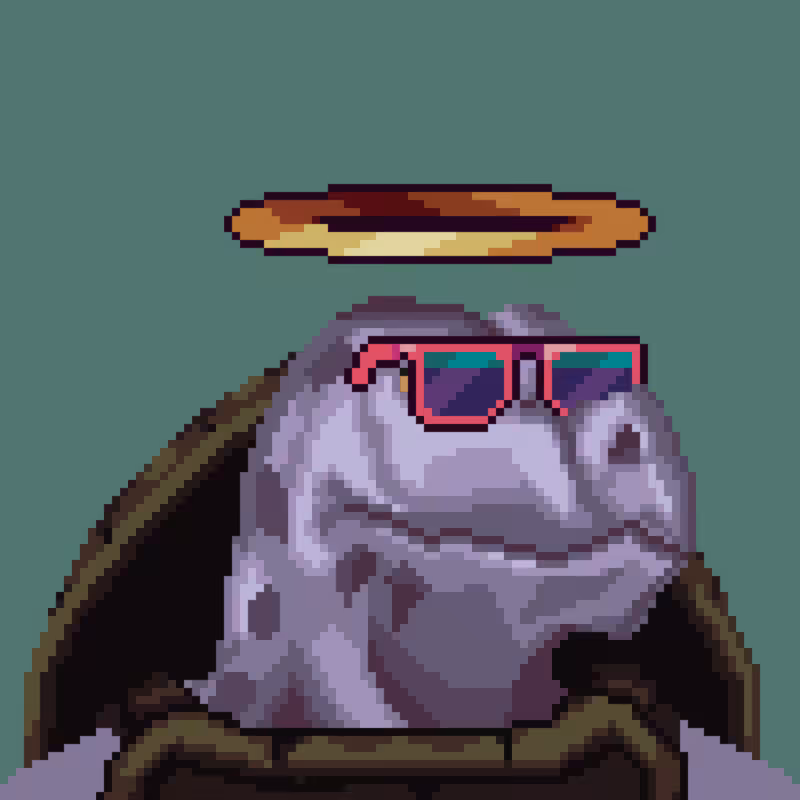 Turtles #45
