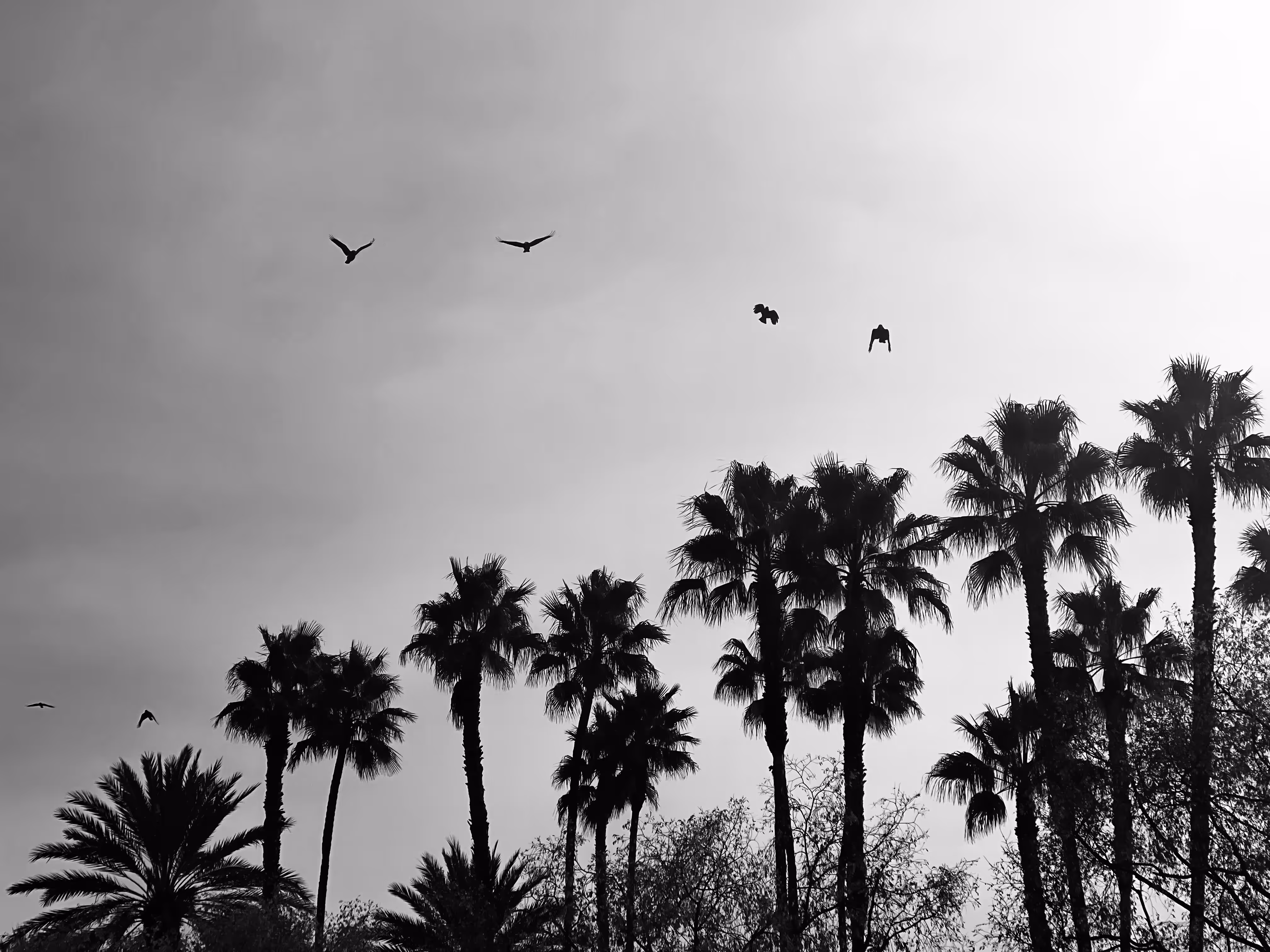 The Sky Remembers