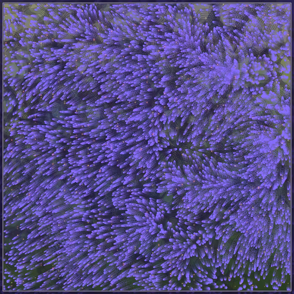 Tezbloom in ocean #93