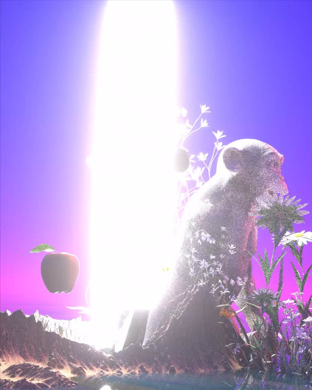 EVERYDAY ARTIFACTS [03.11.23] _ #37