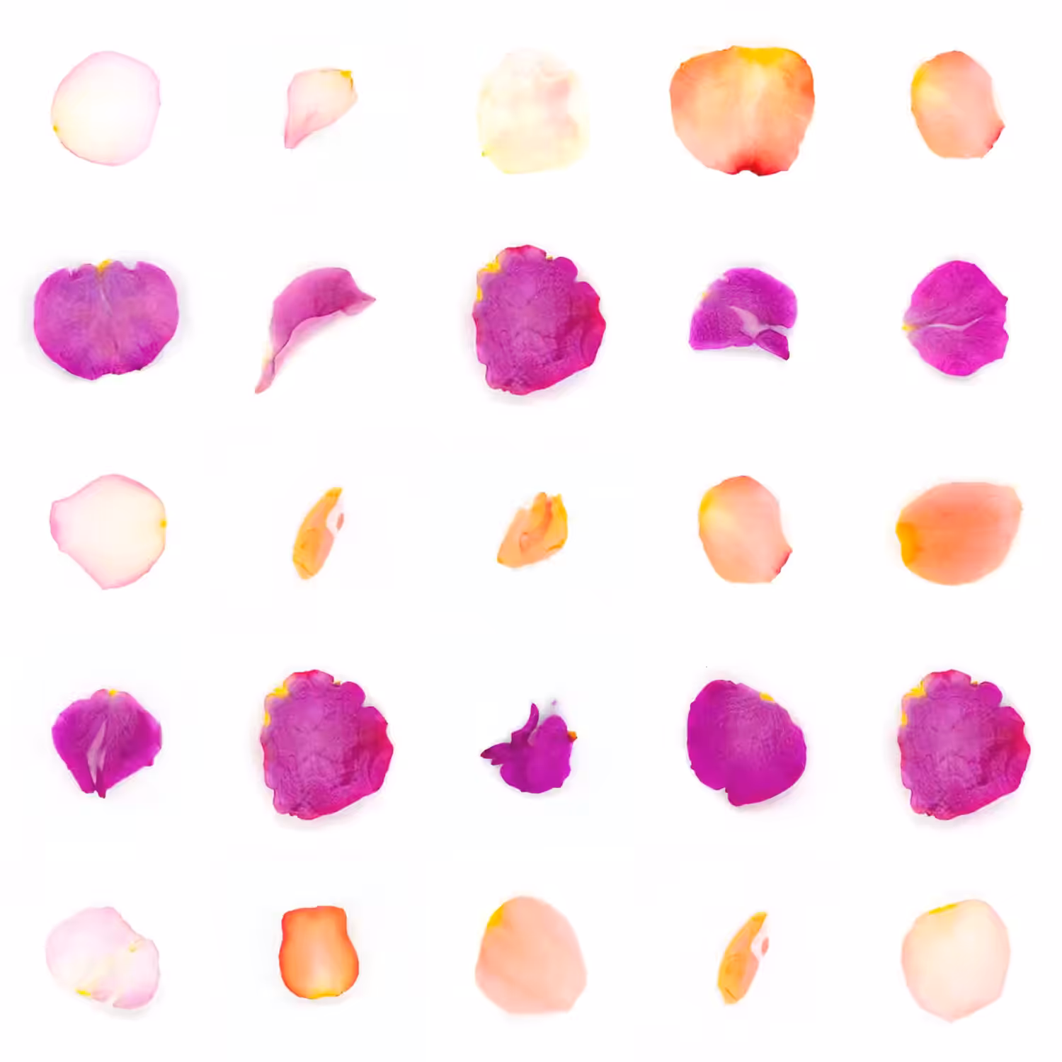 Infinite Petals 5x5#21234