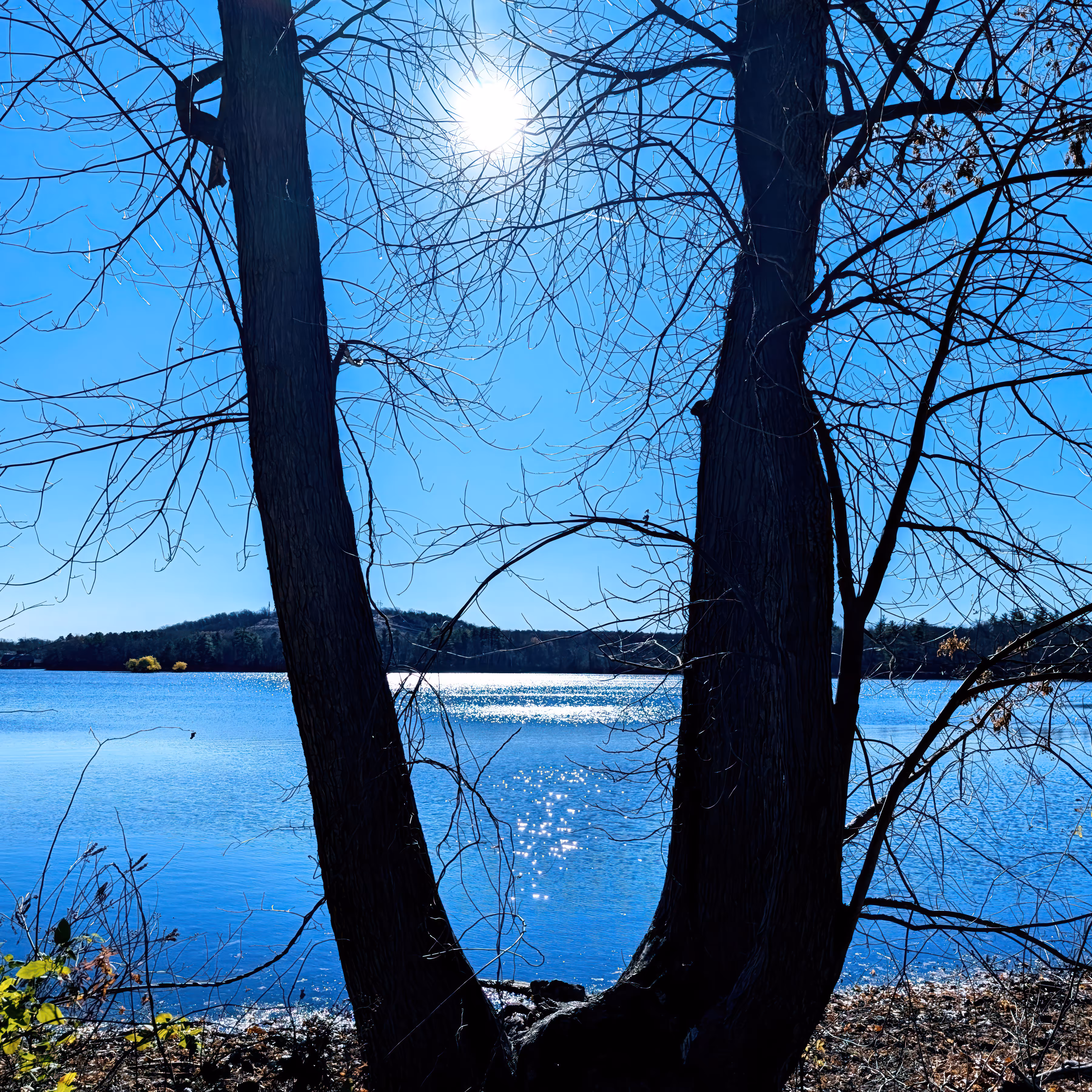 Beauty Innately: Find Your Light