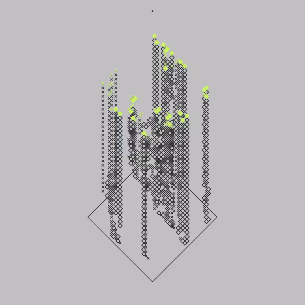 L-2D CA #189