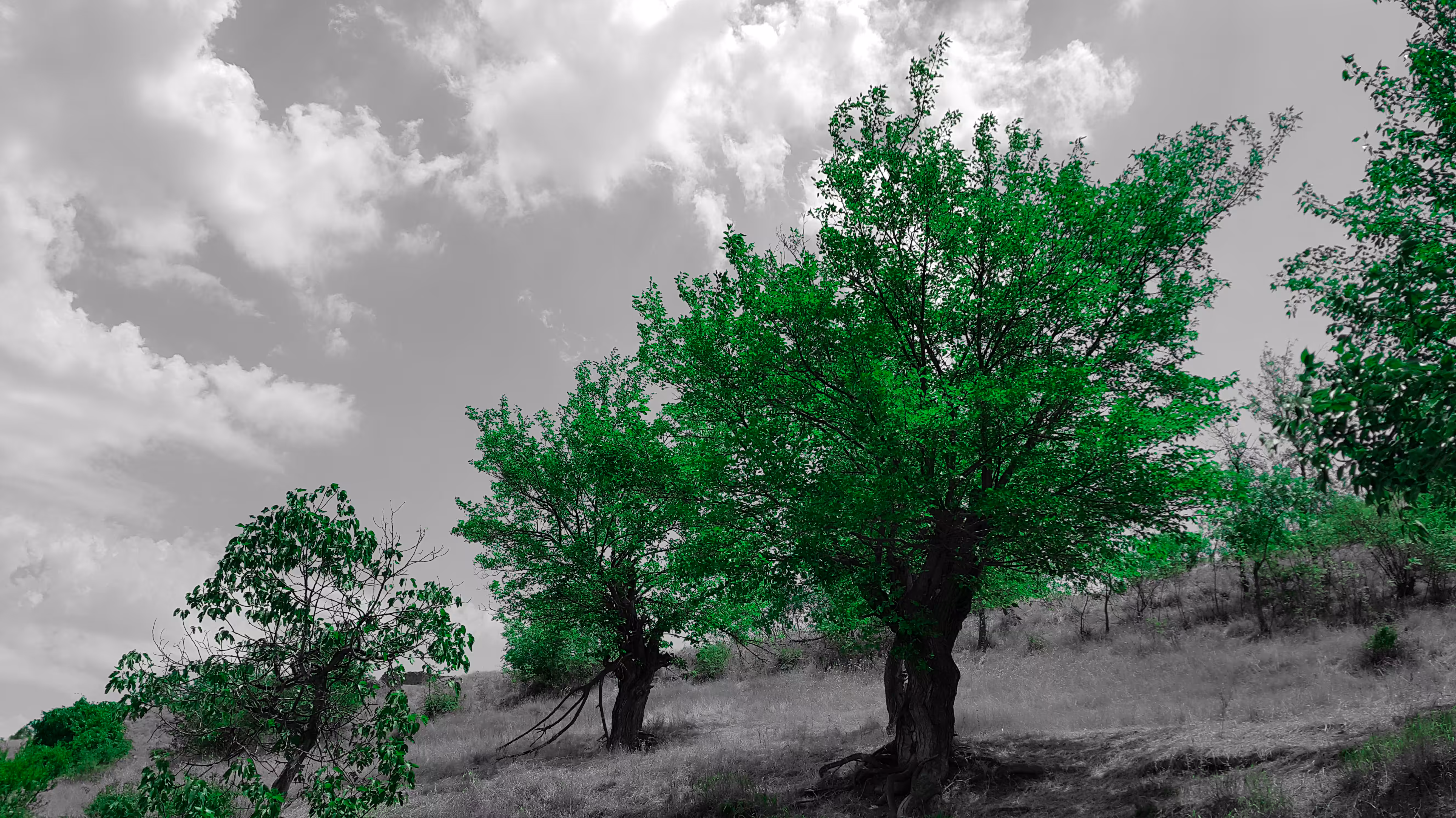 photography #02