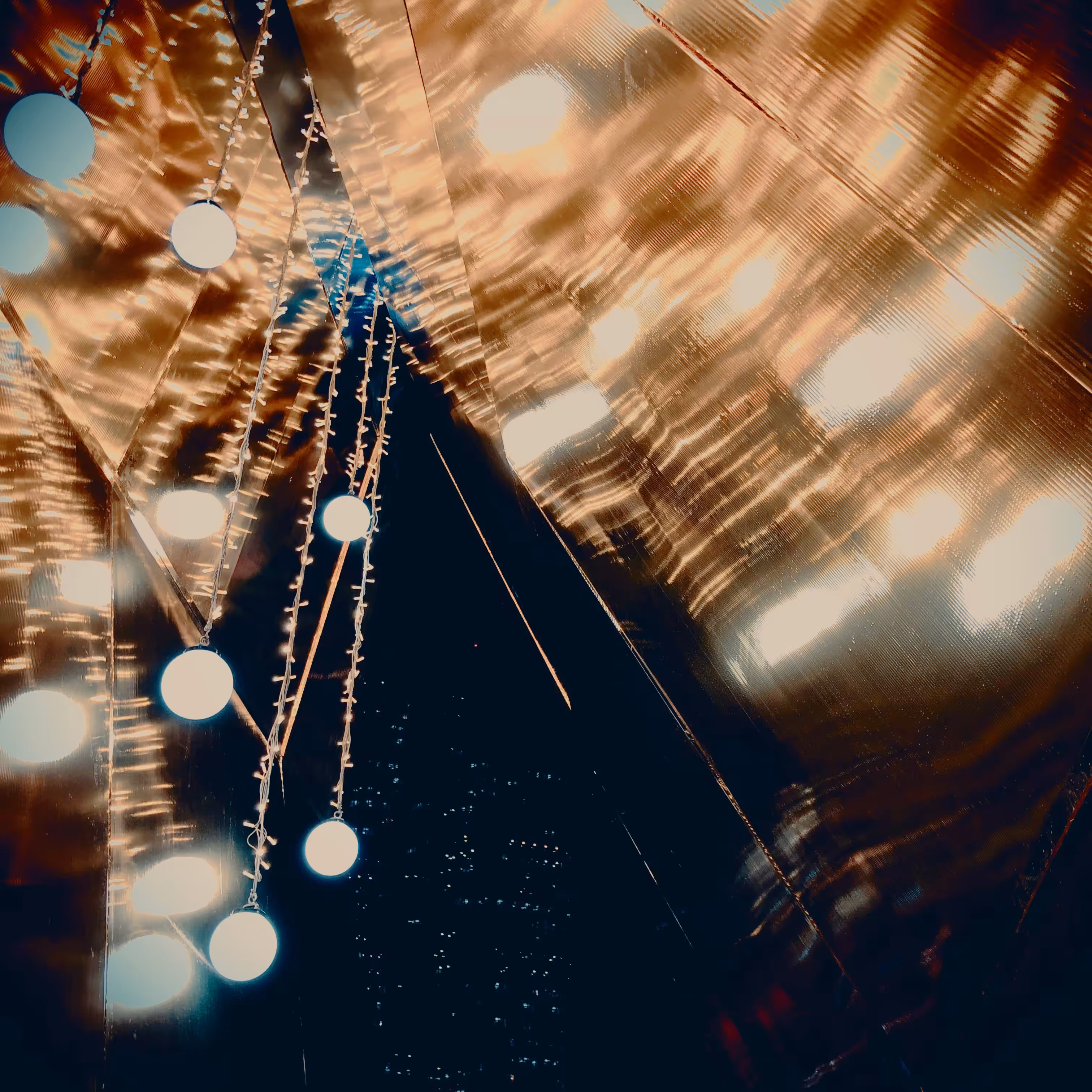 Electric Veil
