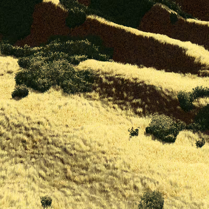 California Hills in Late Sun #197
