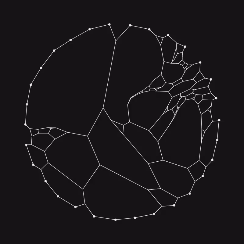 Elastic Web #166