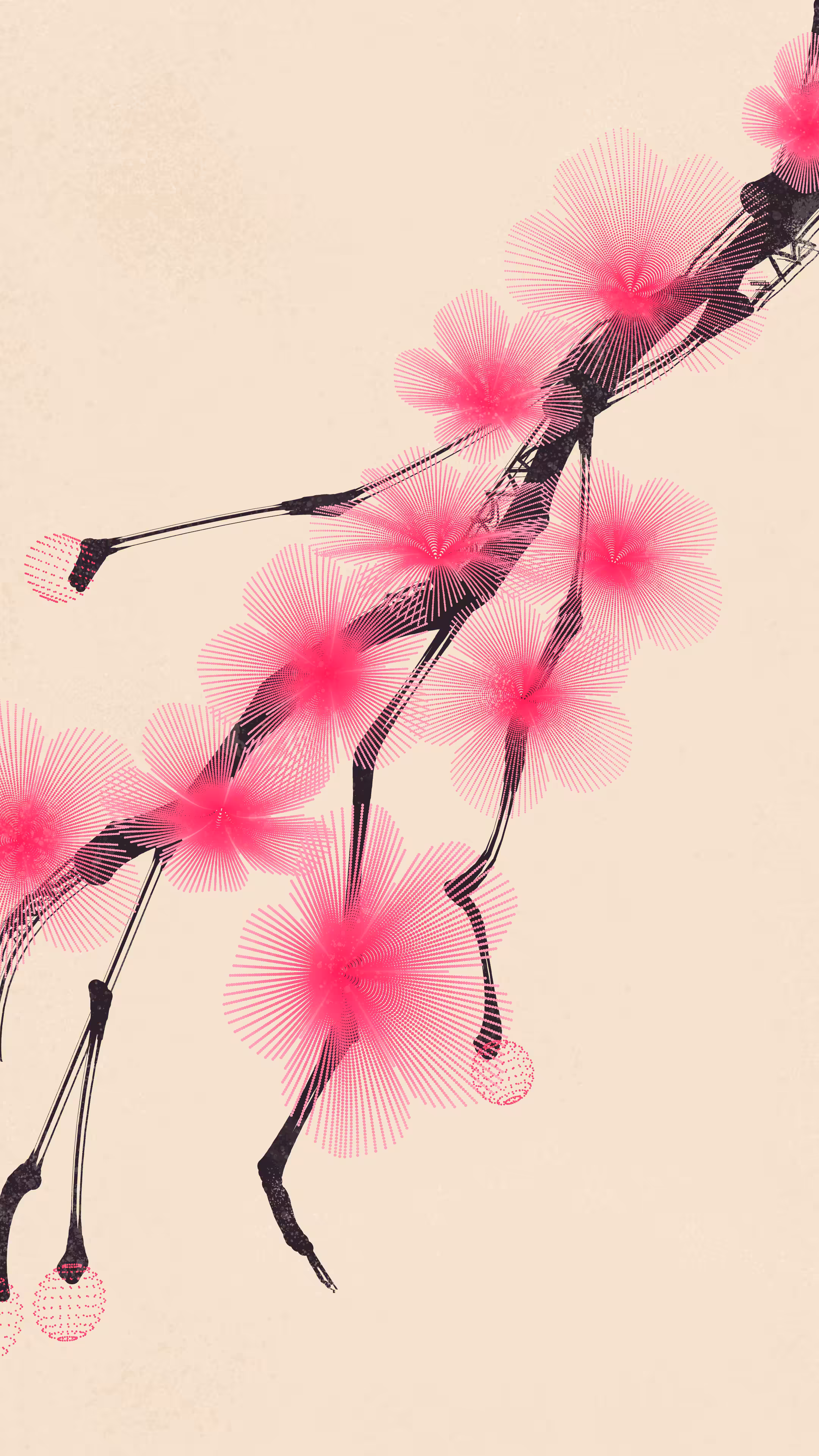 Flower Study #5