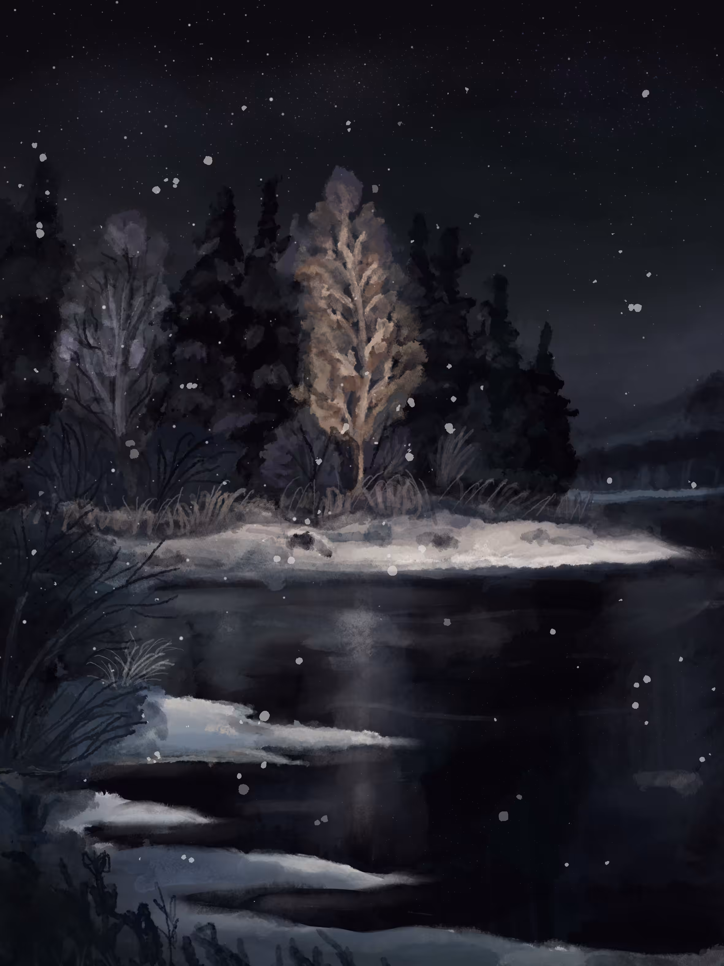 Snowy lake