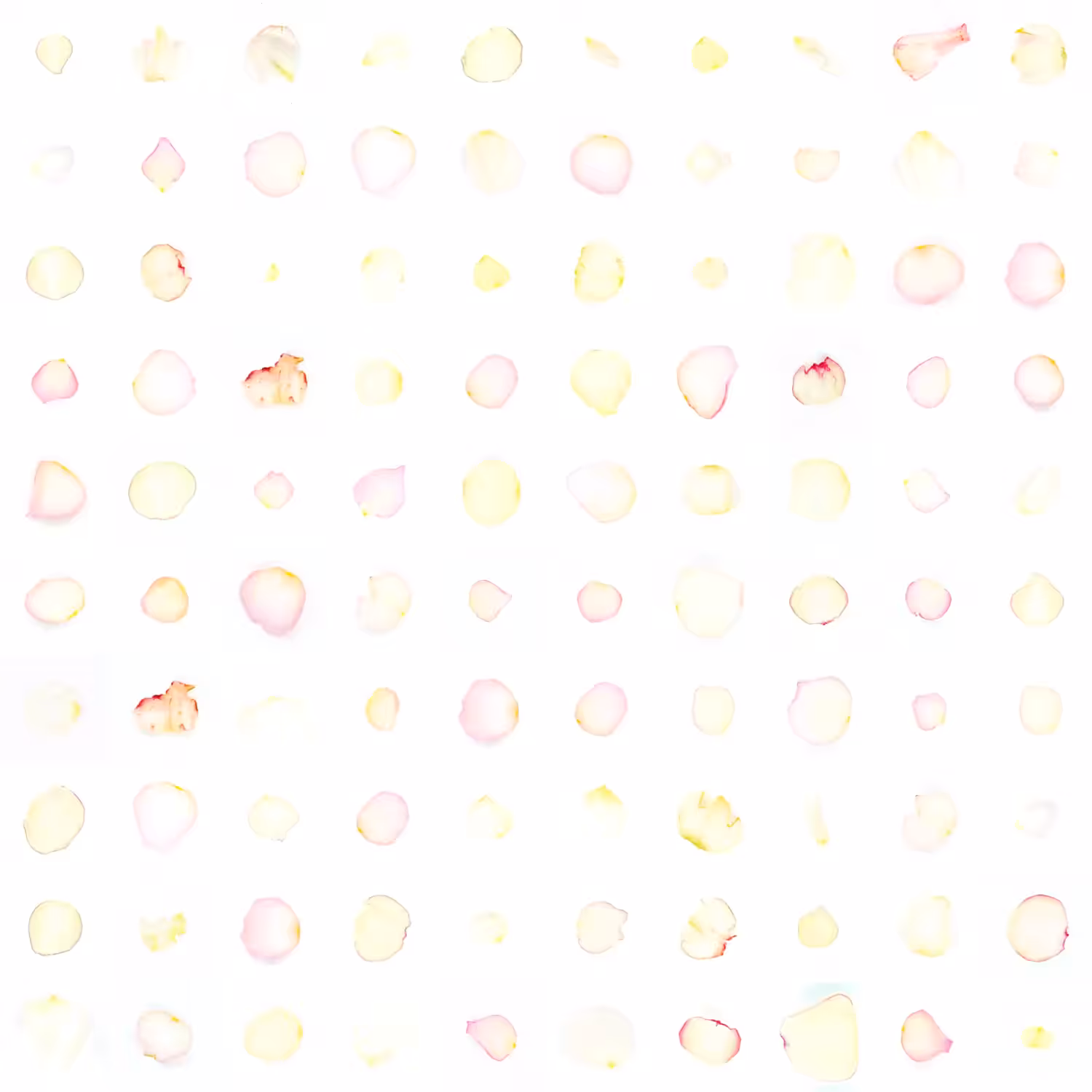 Infinite Petals 10x10#1319