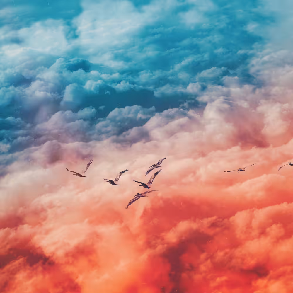 Shørsh Skies #1