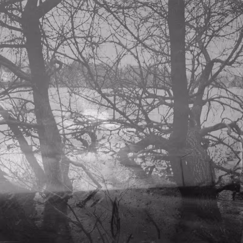 Metamorphose One #47