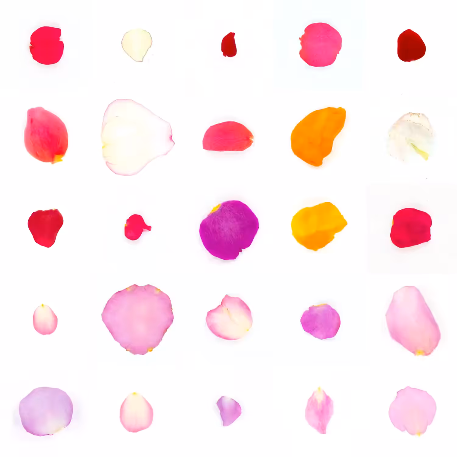 Infinite Petals 5x5#2663