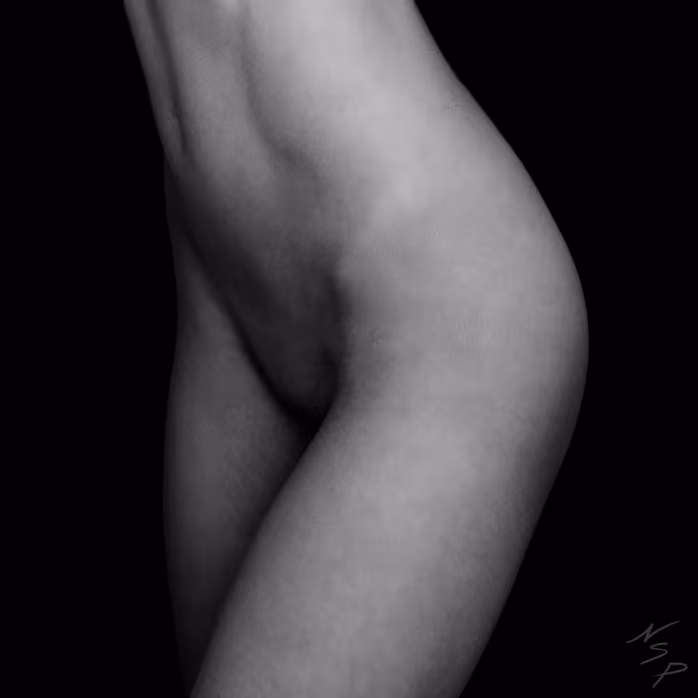 Fine Art Implied Nude Female Bodyscape in Black & White