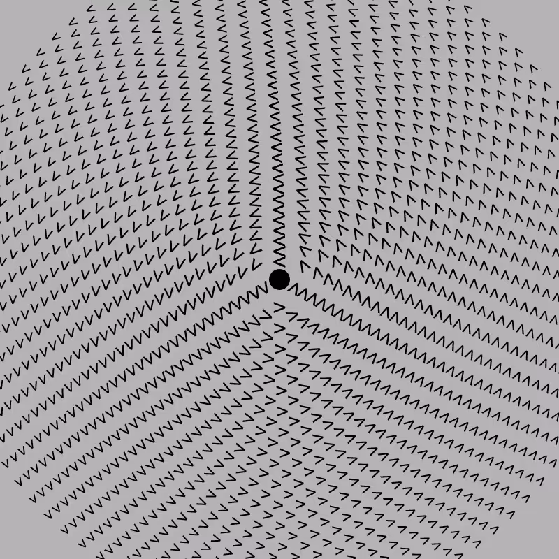 Dizzy Wheel #22