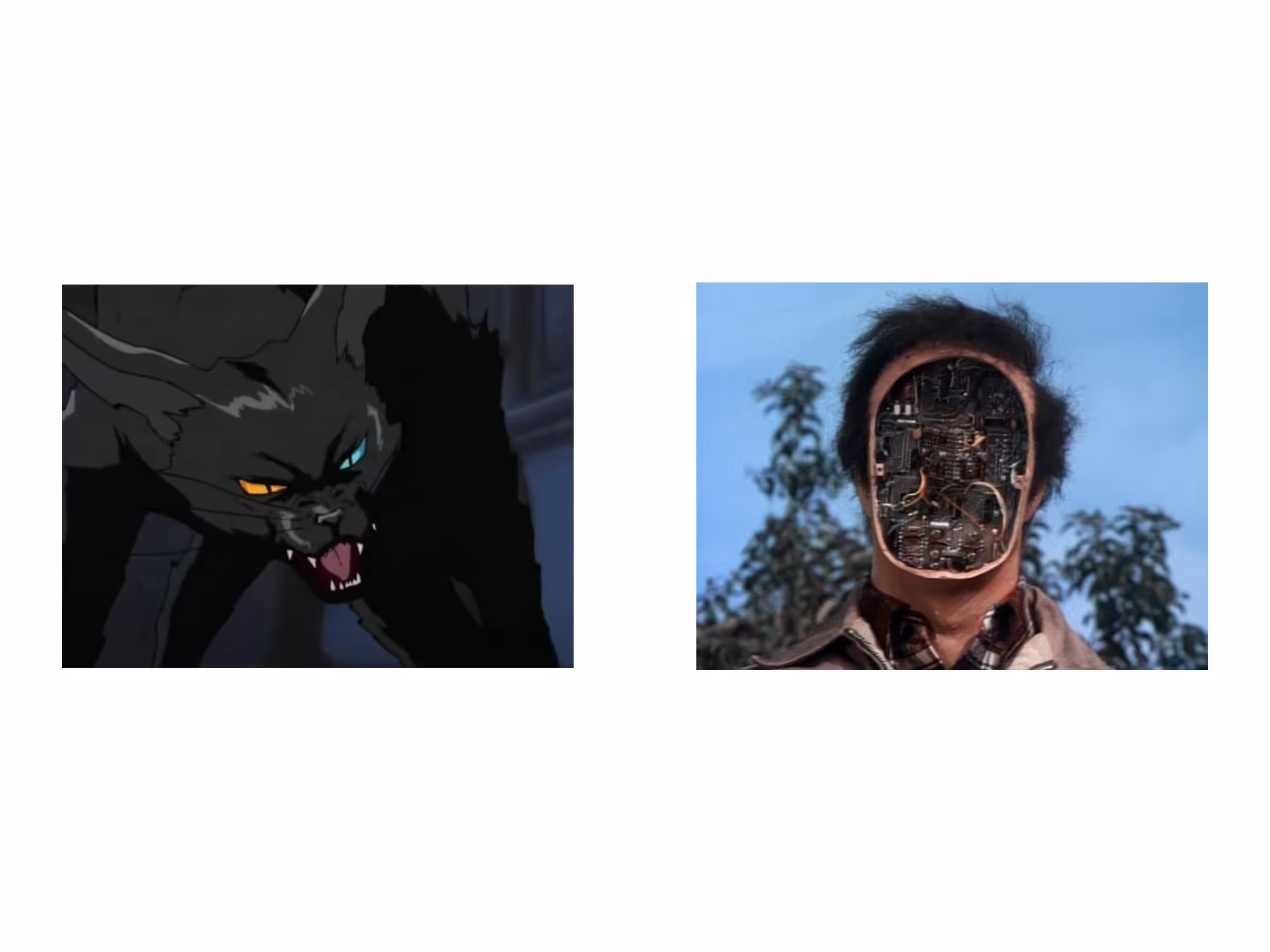 Rodeo posts: two images 2/6/25