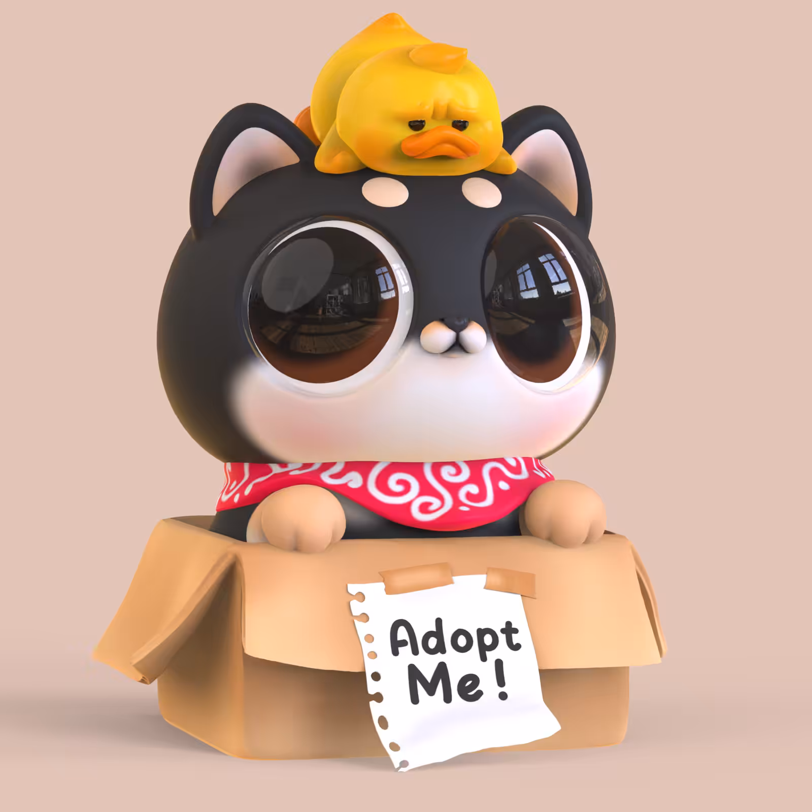 18 Orathai : Shiba Black cat