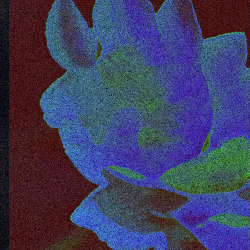 CLDCSMC #109
