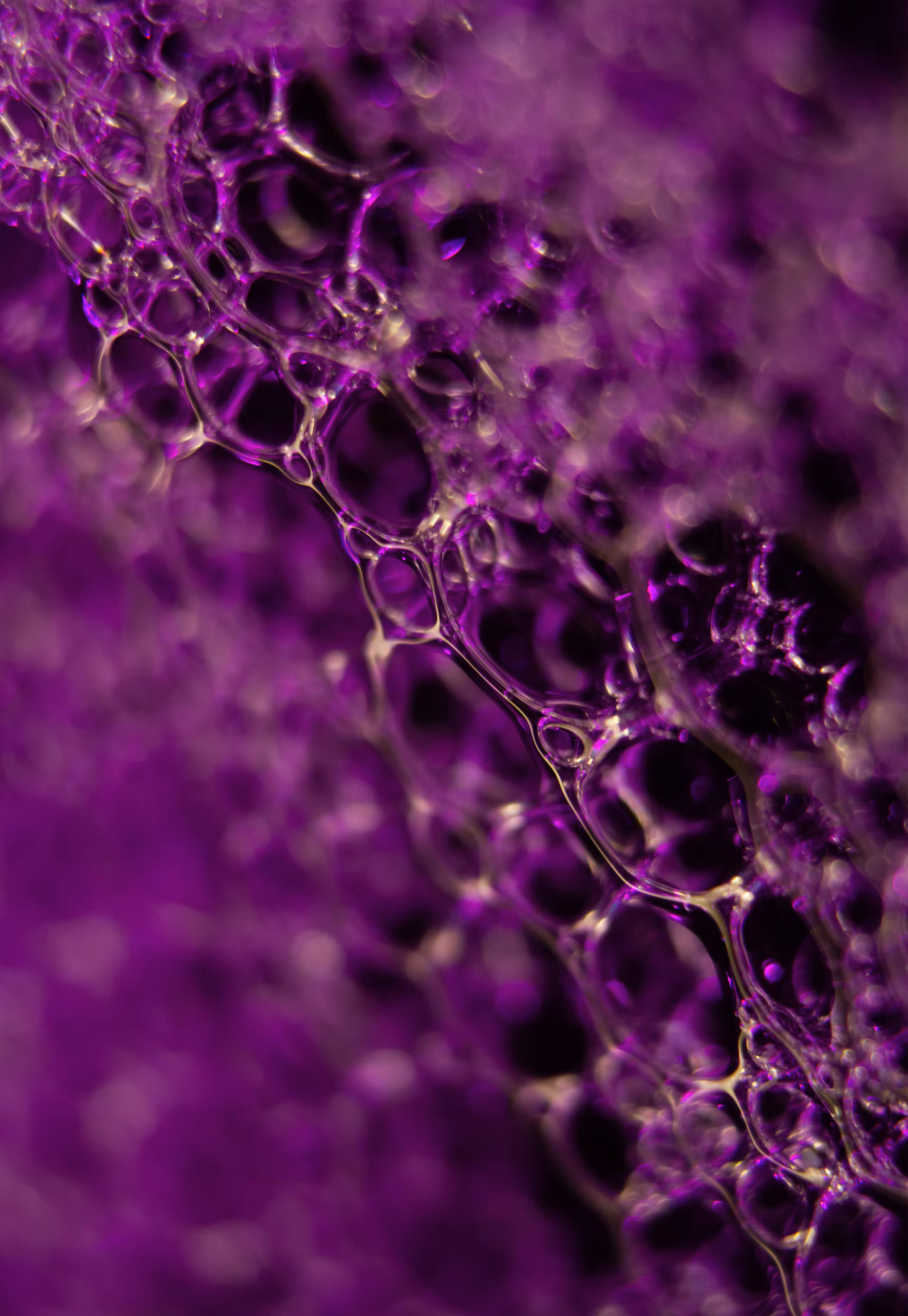 Abstract World of Soap Bubbles: #185 Bubbles