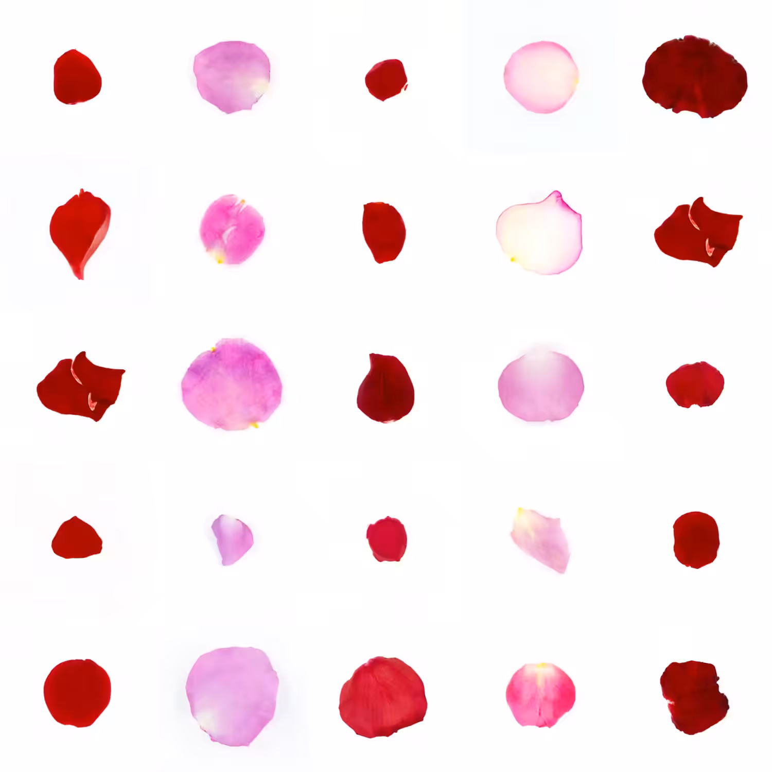 Infinite Petals 5x5#20319