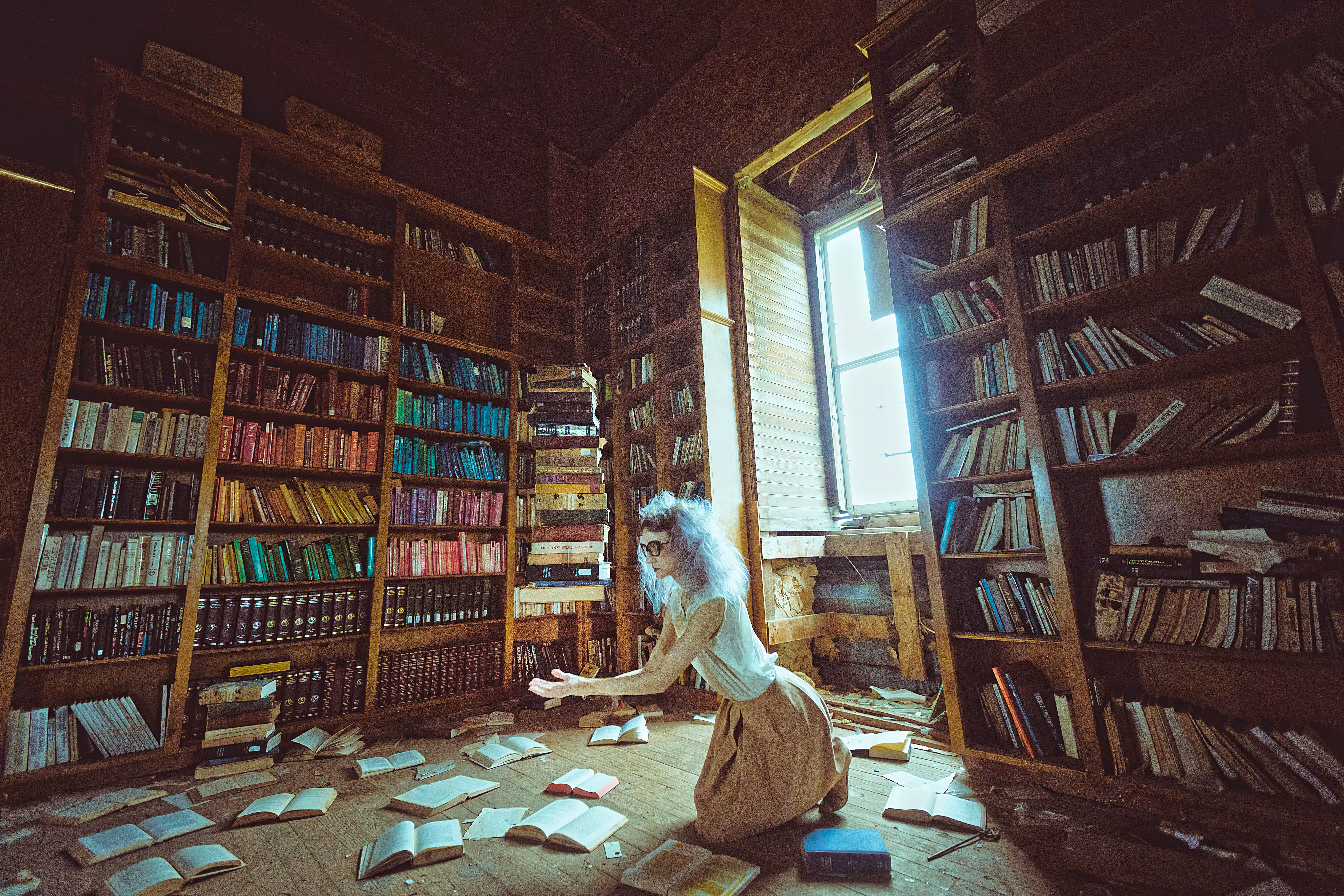 The Librarian