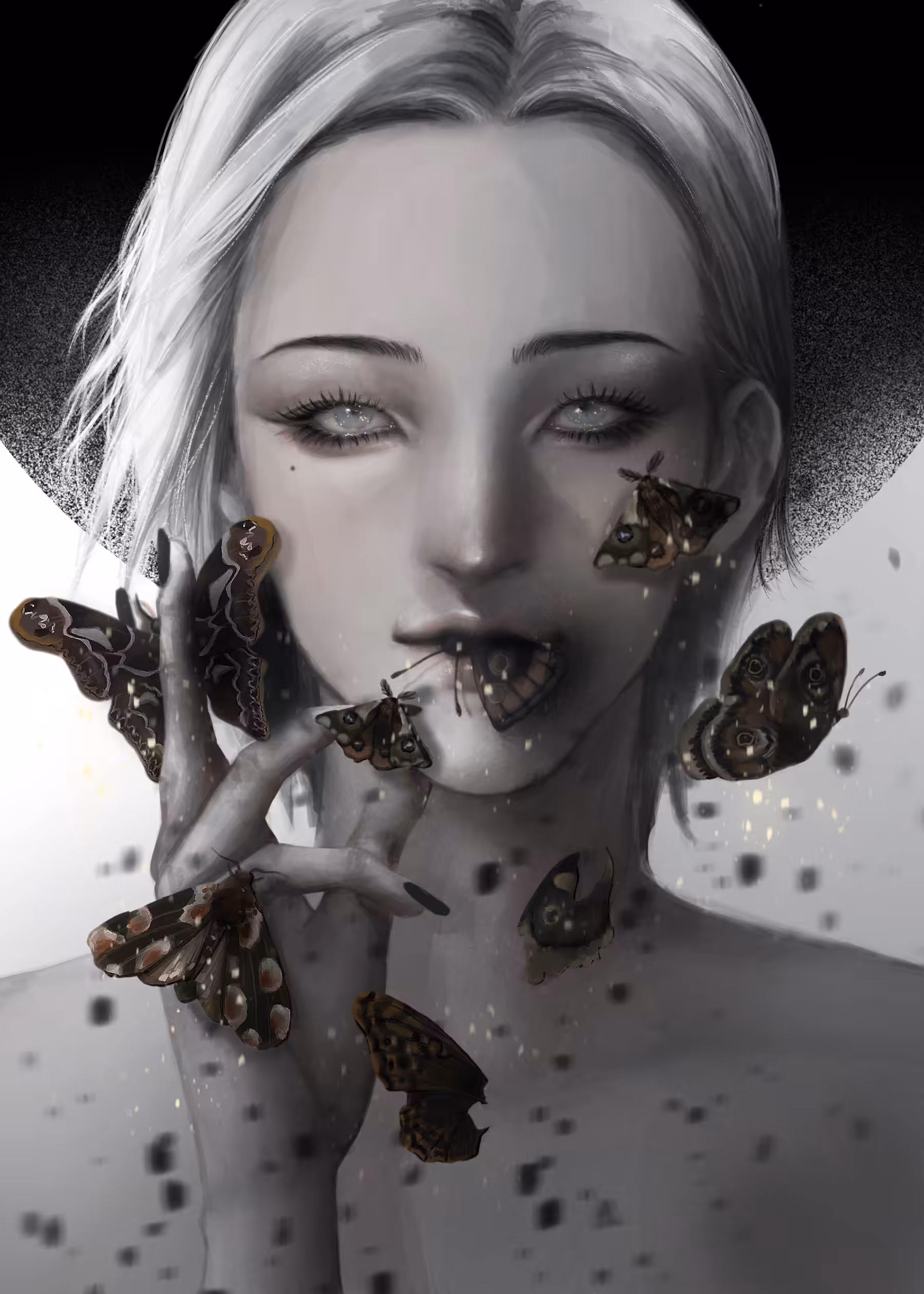 Nocturne