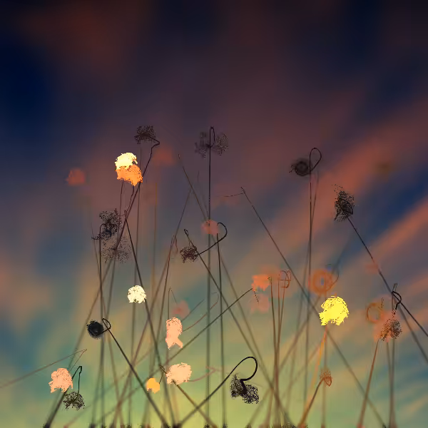 Cottongrass #21