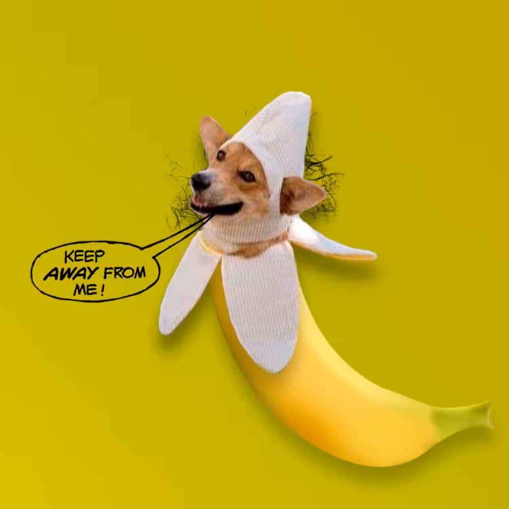 Bananaboy