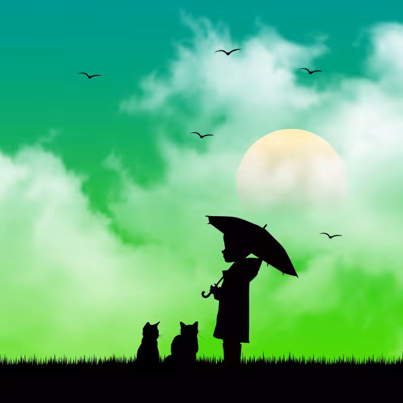 We Care...Cat #6