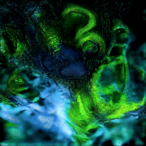 RXALITI #297 [💠@f!n-chasm 🦑⚡𝒸@pflash-spin]