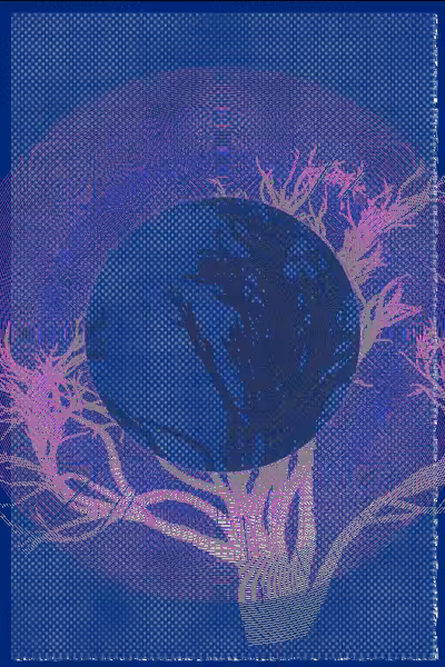 illusion #22