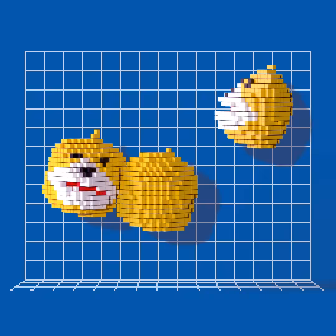 Voxel Eric 23