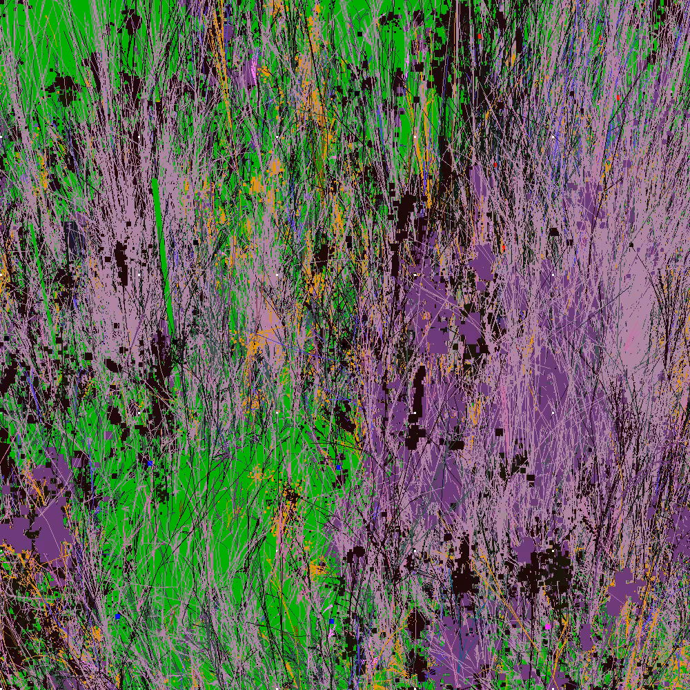 Infinite Garden: 258729 Flowers