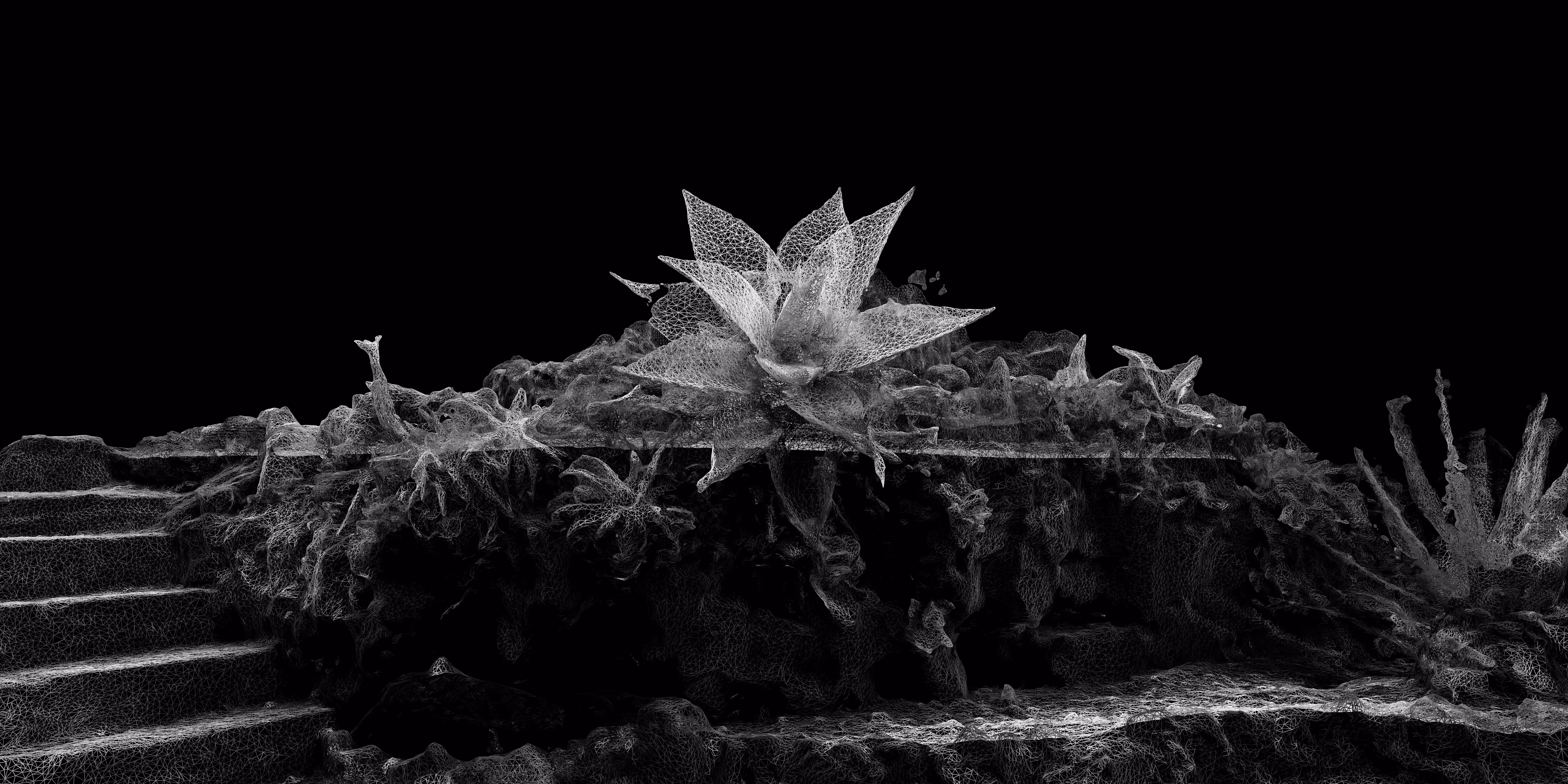 [ Blooming ]
