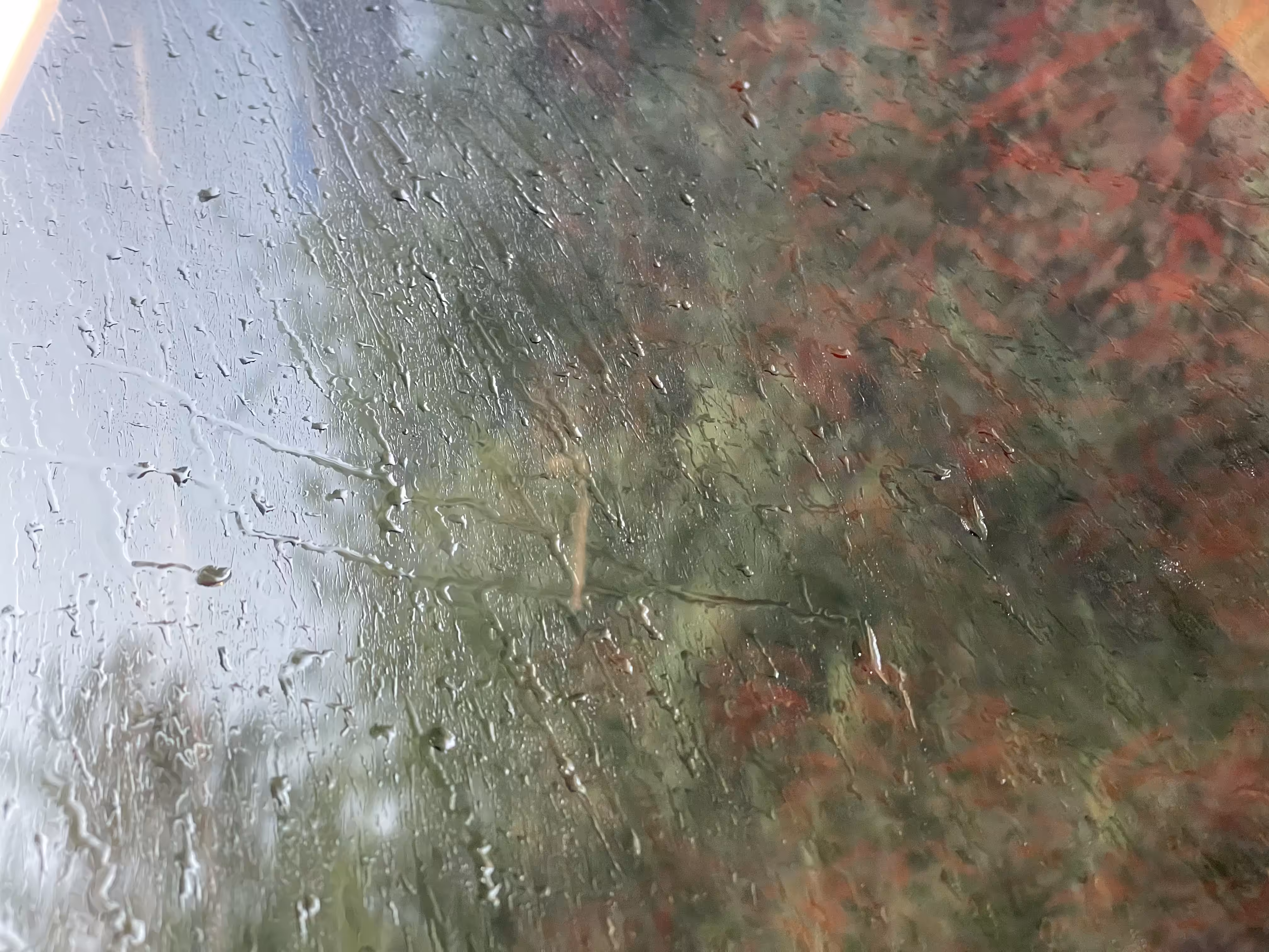 another lovely summer day