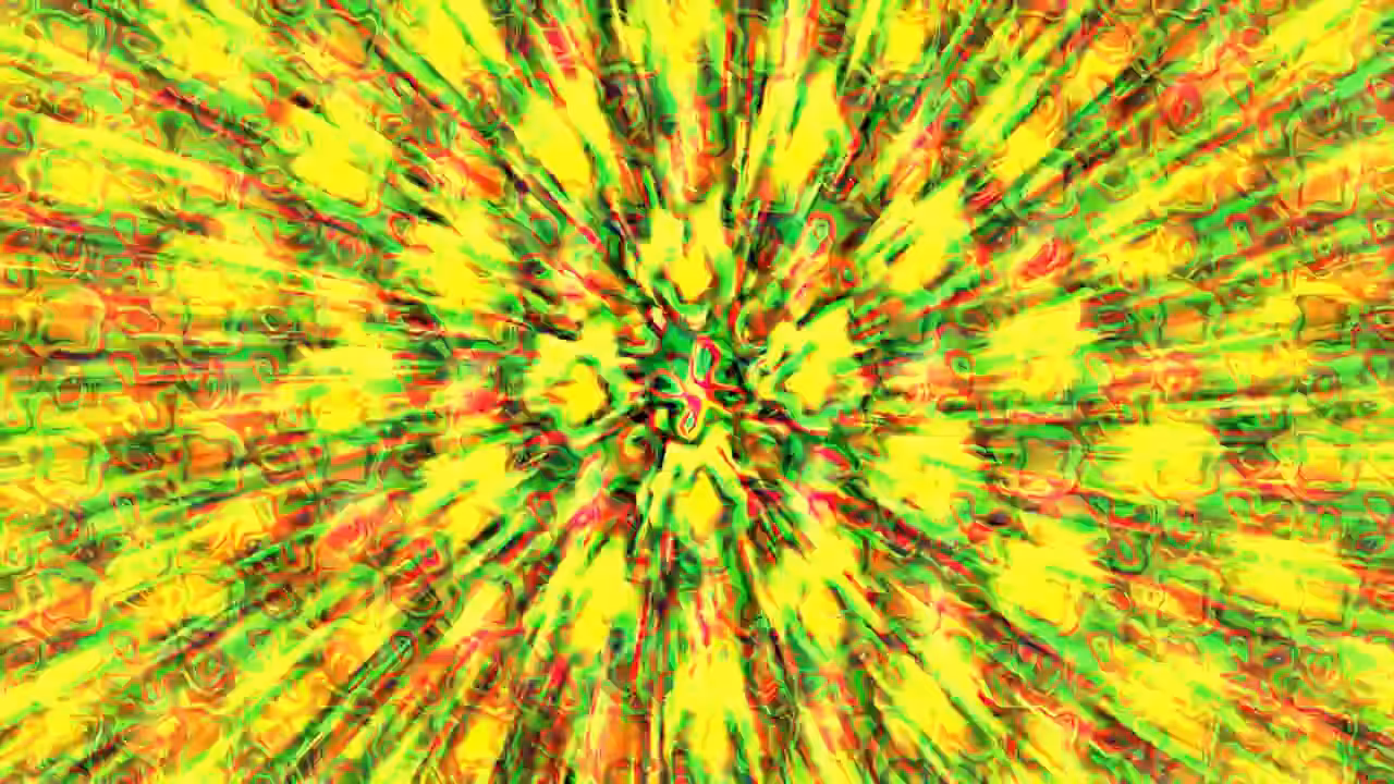 Gryvoo-Trips-10