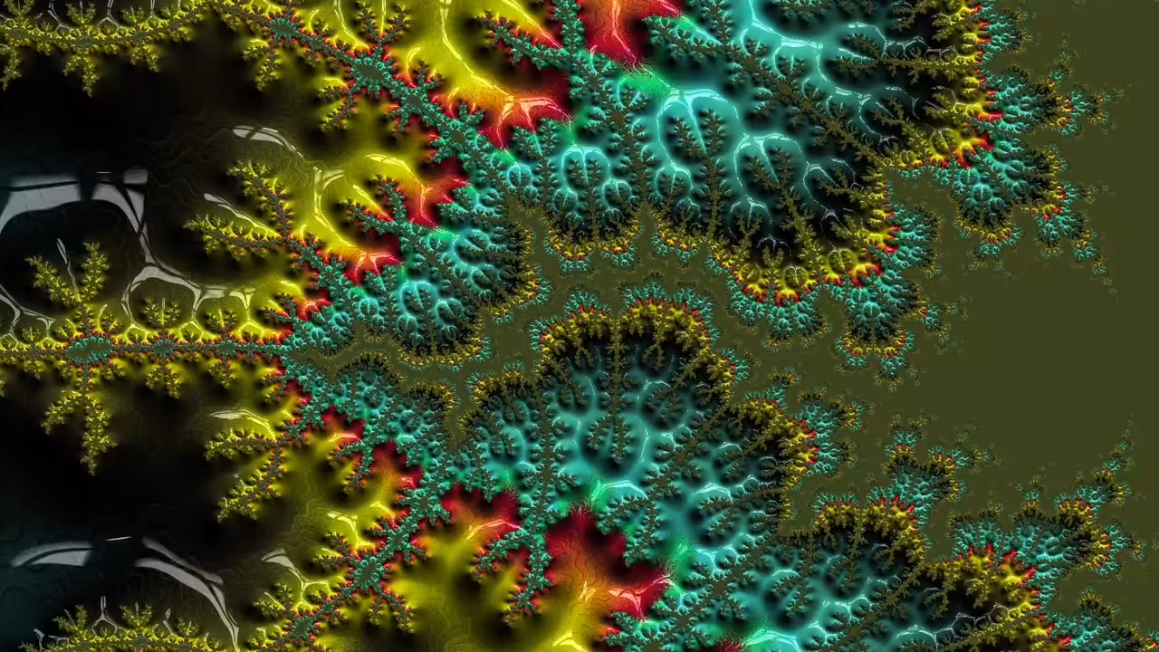 Fractal - Feeding Organs
