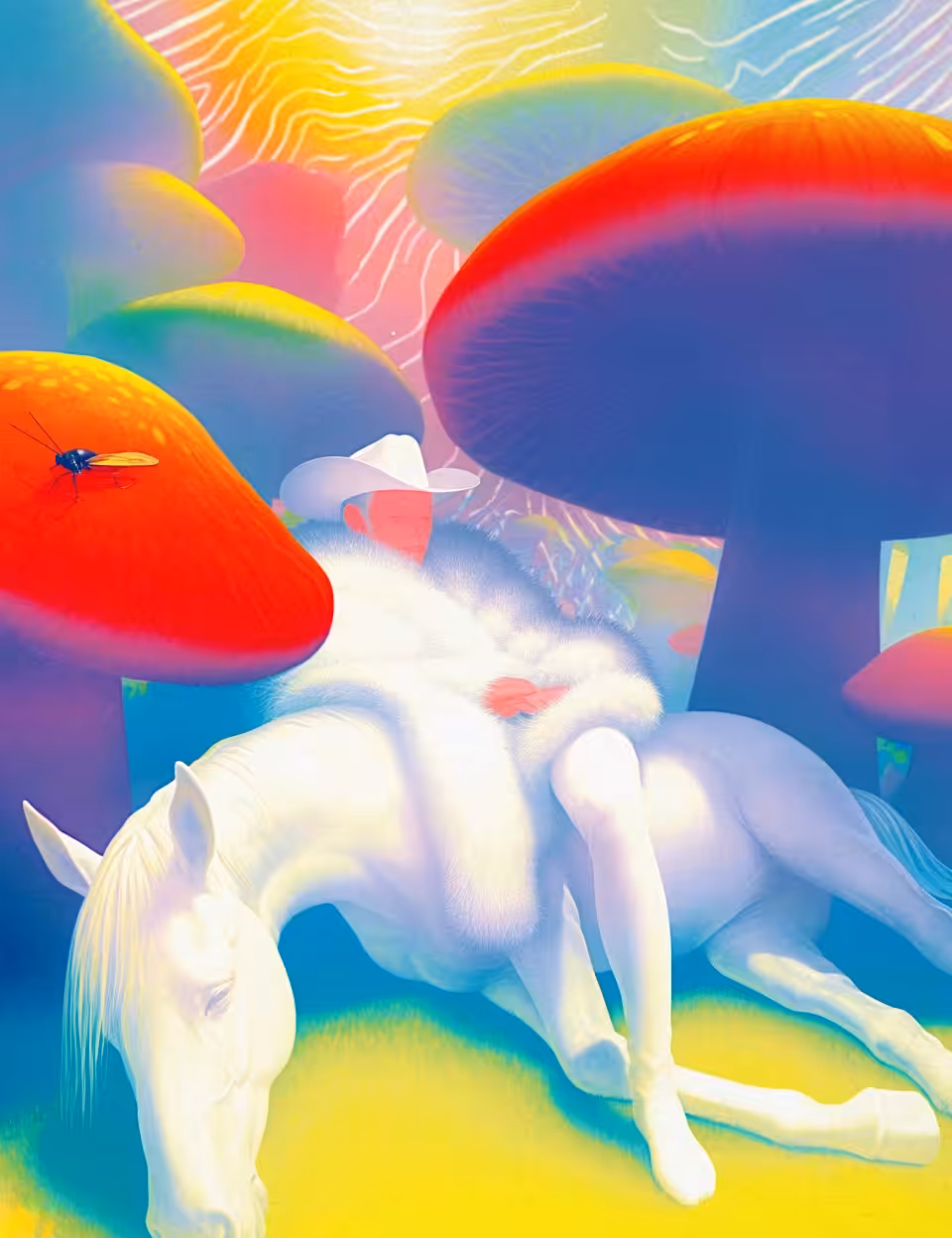 𝙉𝙤 𝙎𝙩𝙧𝙚𝙨𝙨 𝙕𝙤𝙣𝙚
